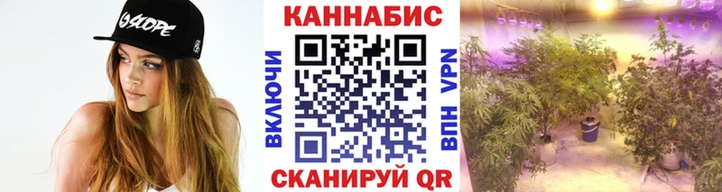 Шишки марихуана конопля  Чаплыгин 